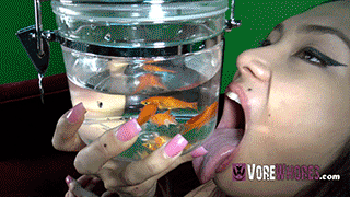 tiny goldfish swallowed alive